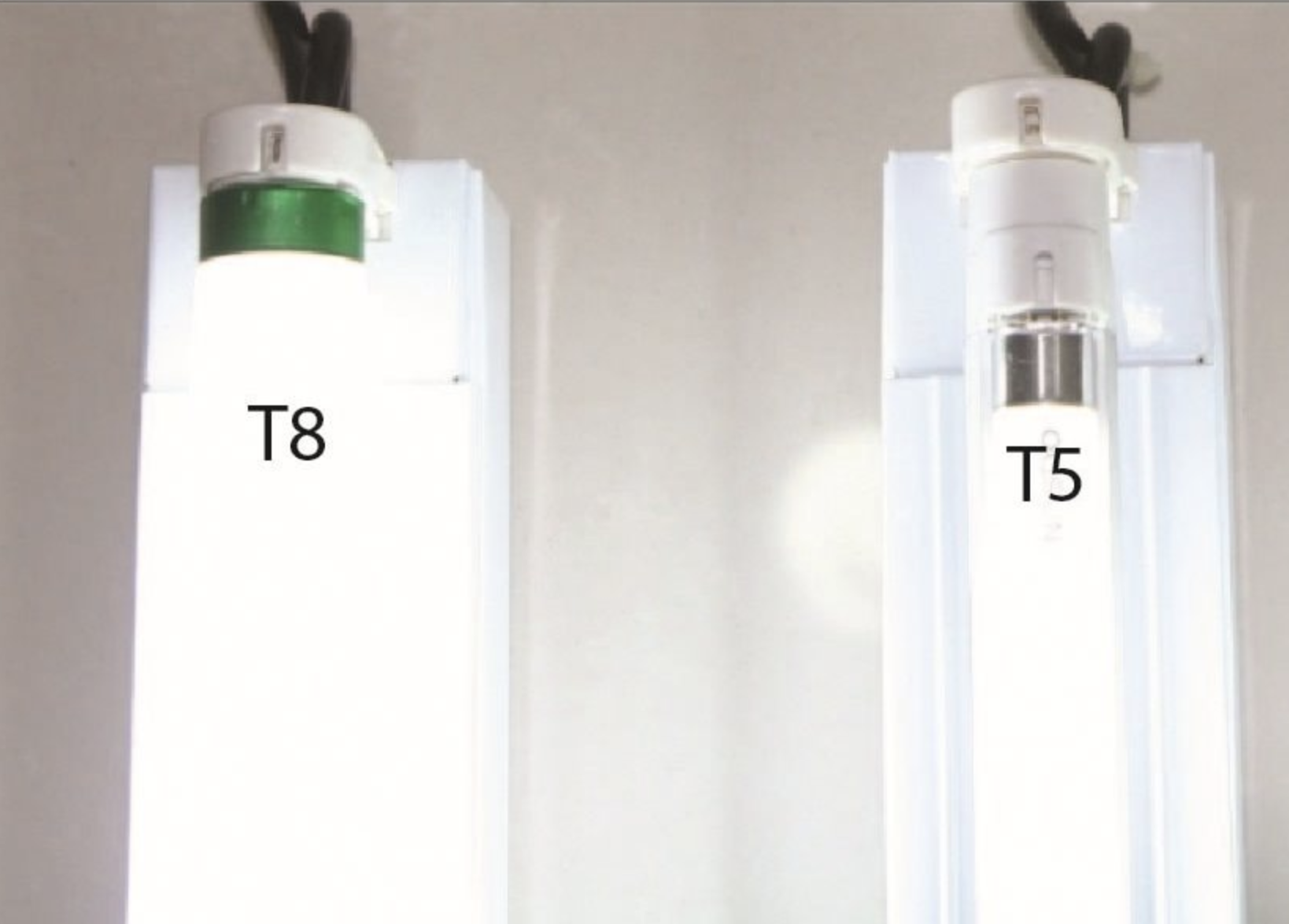 led bulb tube t5 t6 t8 jimat elektrik